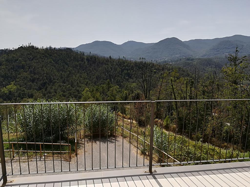 Вилла I Gelsi E I Castagni Polverara Экстерьер фото